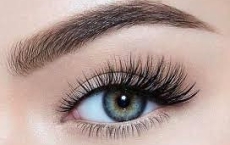 Các loại mi giả phổ biến dùng trong nối mi