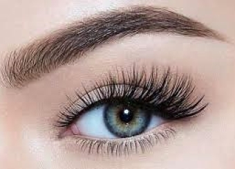Các loại mi giả phổ biến dùng trong nối mi